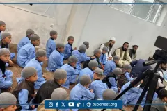 tubanest-12