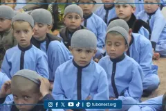 tubanest-7