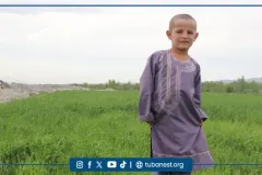 tubanest-23